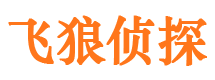 迪庆市私家侦探